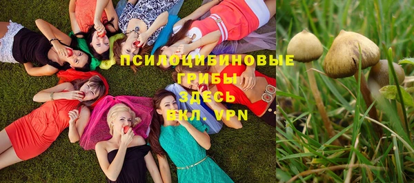 тгк Алзамай