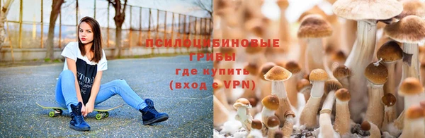 тгк Алзамай