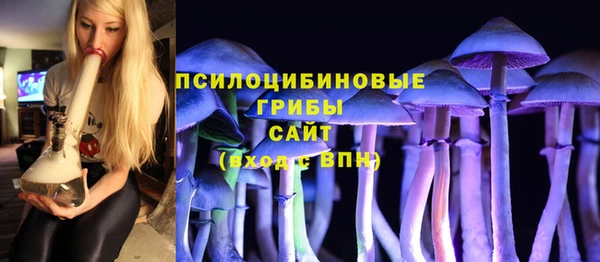 тгк Алзамай