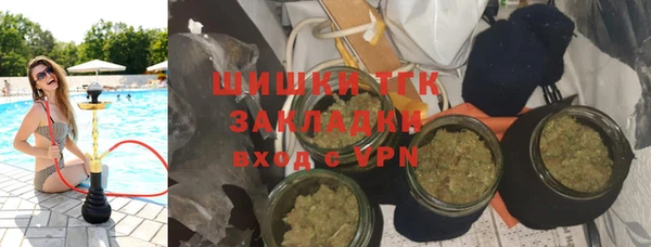 бошки Алексин