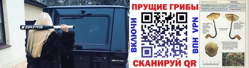 Галлюциногенные грибы GOLDEN TEACHER  мега зеркало  Сочи  купить наркоту 